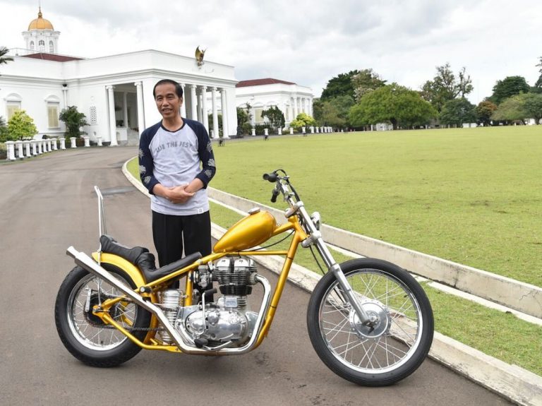 model motor chopper